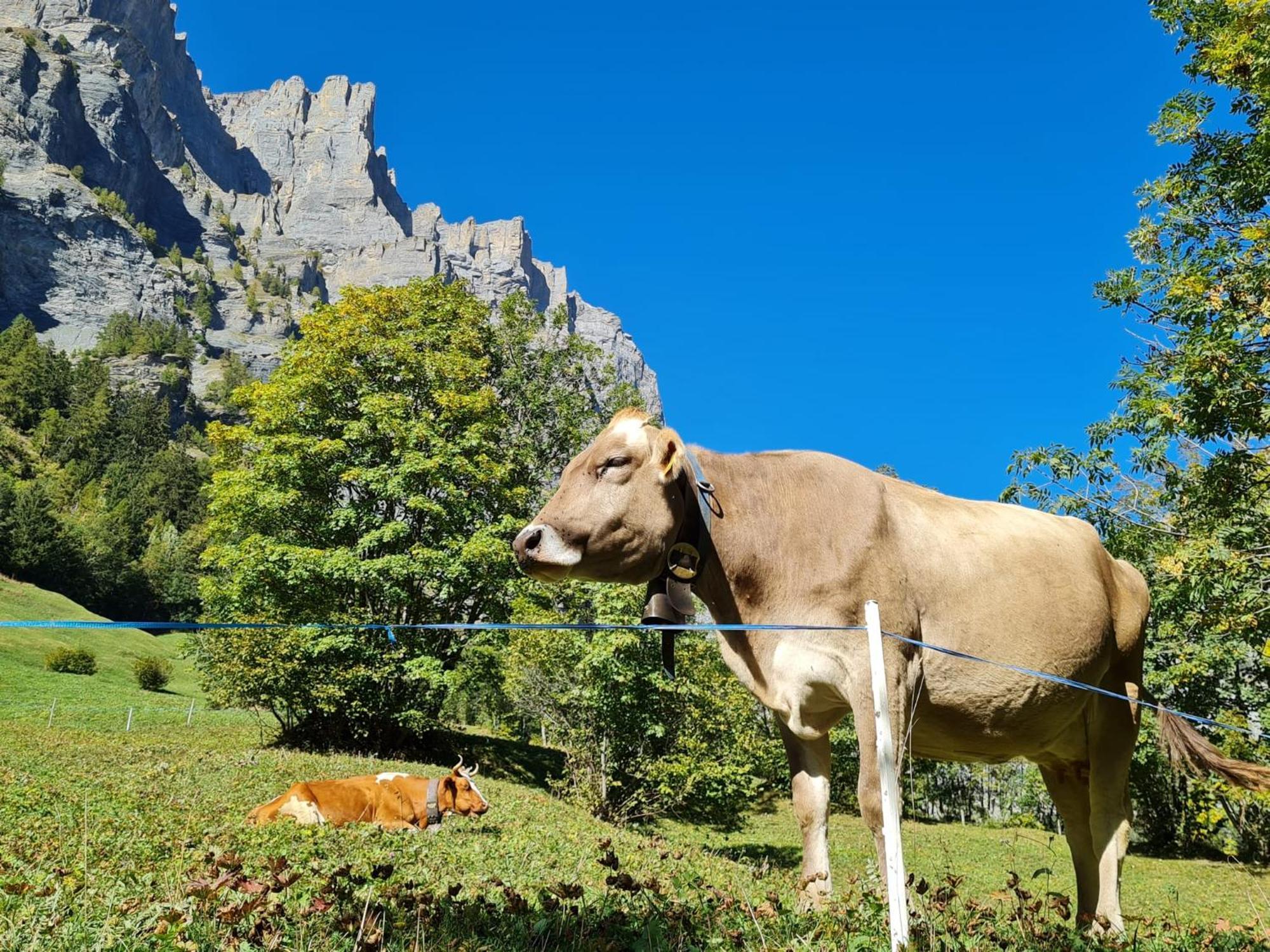 Lucky Fox Διαμέρισμα Leukerbad Εξωτερικό φωτογραφία
